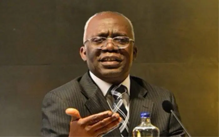 Femi Falana, SAN