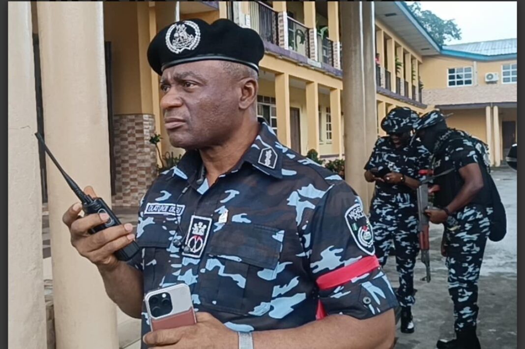 Ag IGP Olatunji Disu