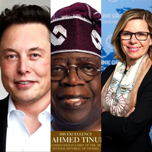 Elon Musk, President Tinubu add Anna Bjerde