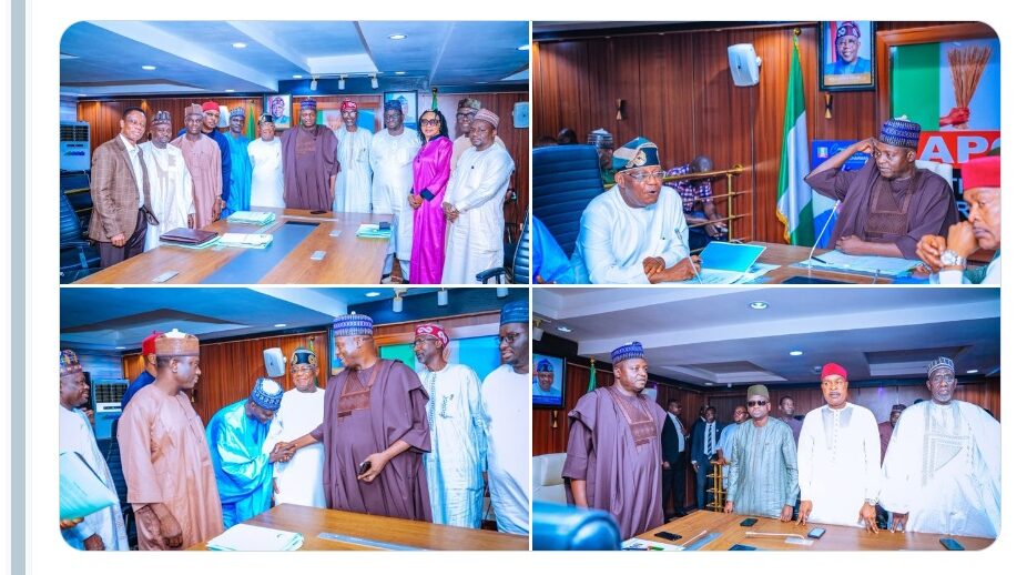 Professor Nentawe Goshwe Yilwatda inaugurated the Governing Council of The Progressive Institute. Photo credit: APC Nigeria X handle