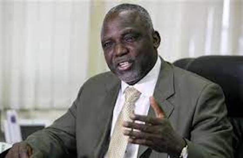 Professor Bart Nnaji2