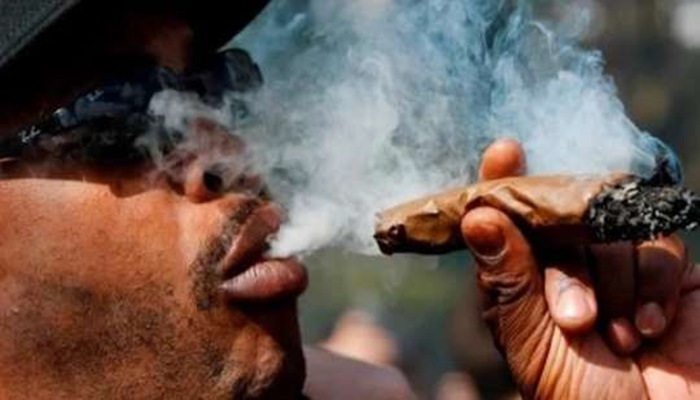 An Indian Hemp smoker2