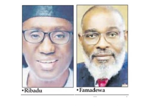 National Security Adviser, Mallam Nuhu Ribadu, Major General Adeyinka Famadewa (retd) as Special Adviser on Homeland Security2